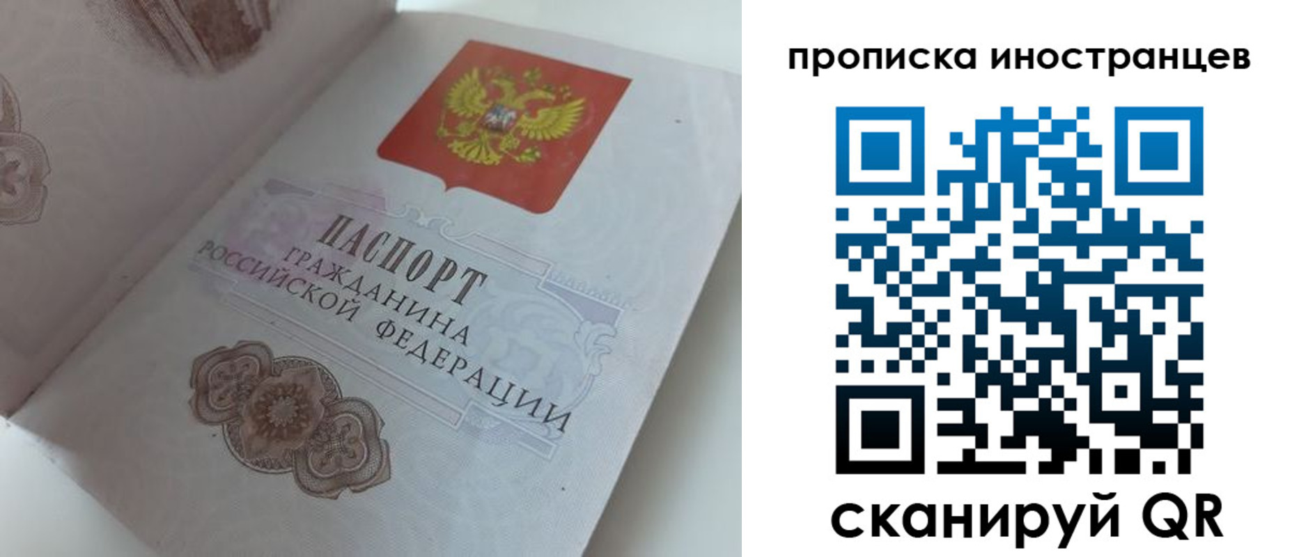 прописка регистрация в Клинцах